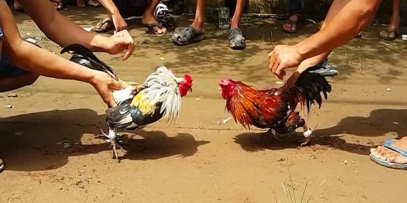 Bí quyết chơi hay ăn tiền khủng